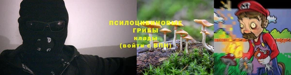 мдпв Бугульма